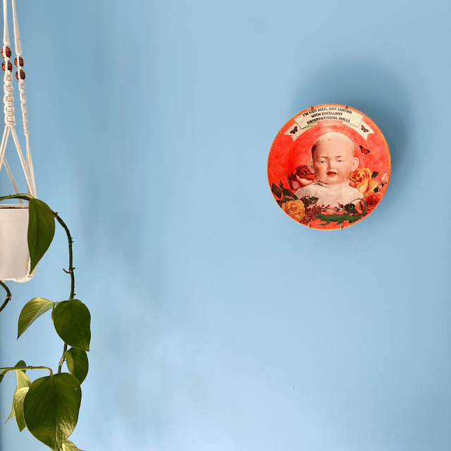 "I'm Not Mad, Just Cursed With Excellent Observational Skills" Coral Upcycled Wall Plate - House of Frisson